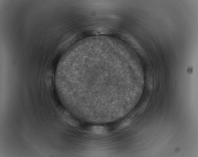 X0000101700169200808071207