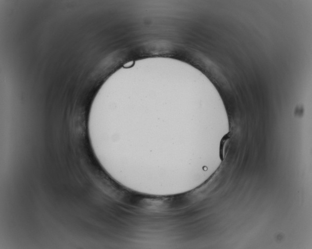 X0000101700170200808071207