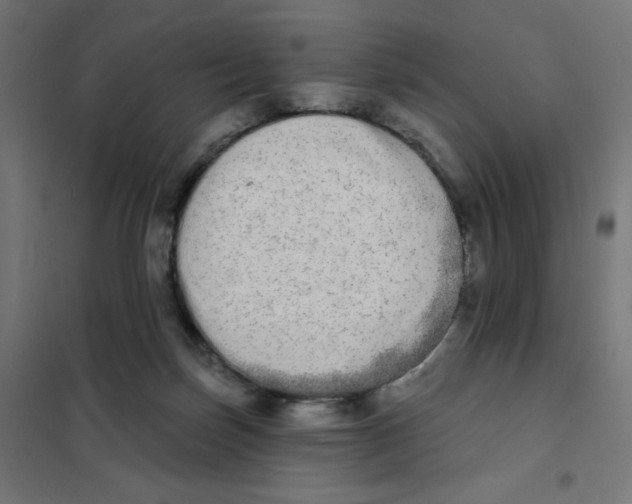 X0000101700171200808071207