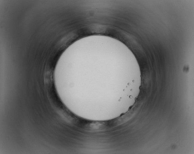 X0000101700172200808071207