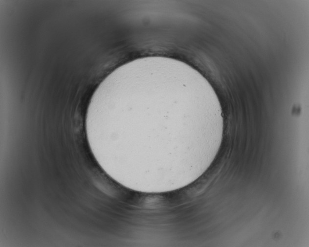 X0000101700173200808071207