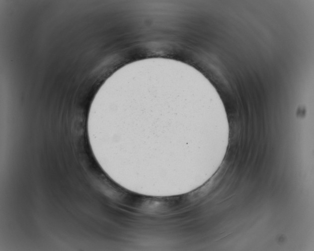 X0000101700174200808071207