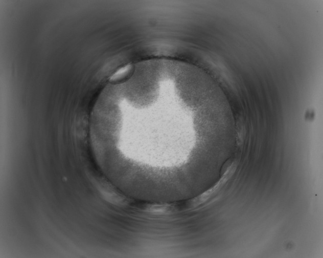 X0000101700175200808071207