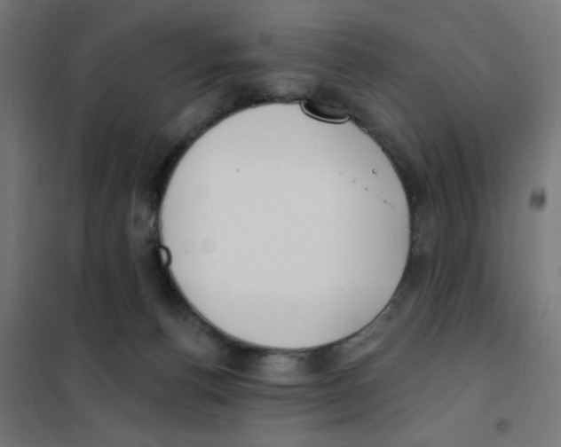 X0000101700176200808071208