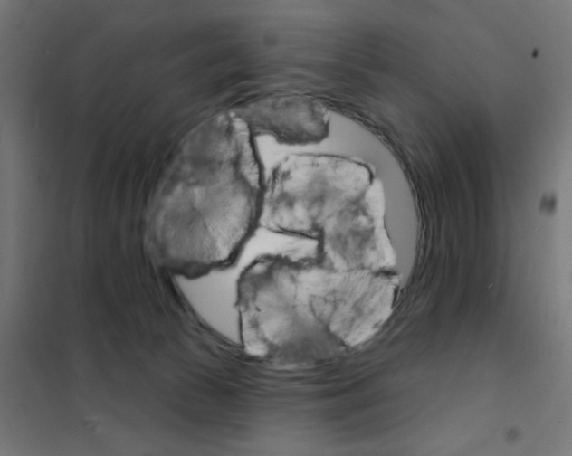 X0000101700177200808071208