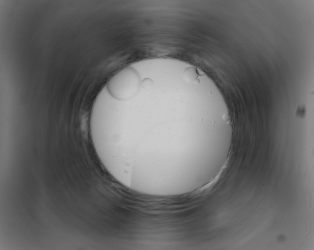 X0000101700178200808071208