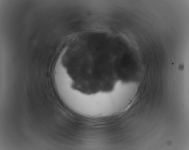 X0000101700179200808071208
