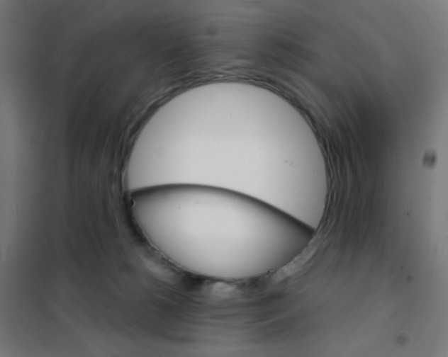 X0000101700180200808071208