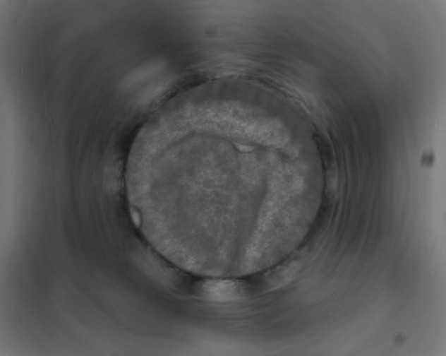 X0000101700181200808071208