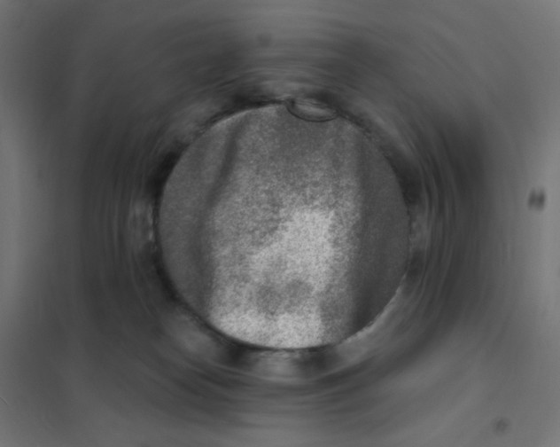 X0000101700182200808071208