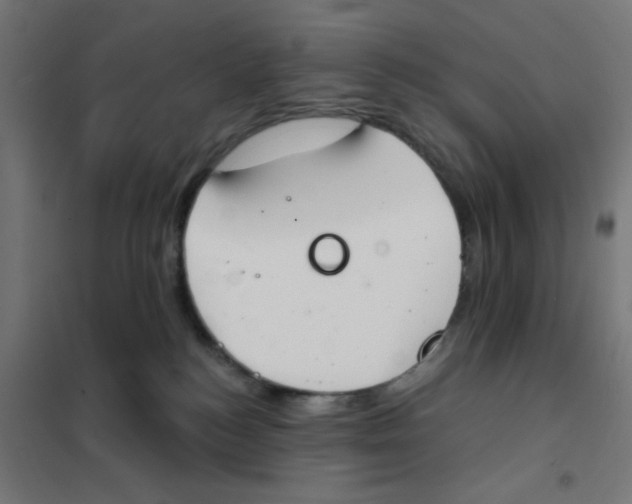 X0000101700184200808071208