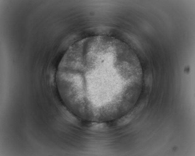 X0000101700185200808071208