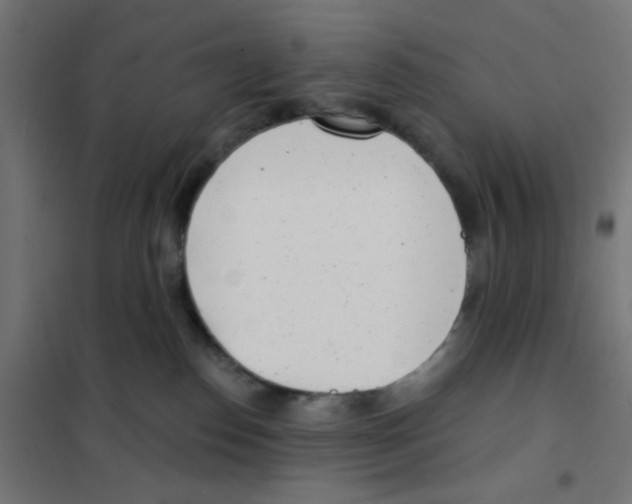 X0000101700186200808071208