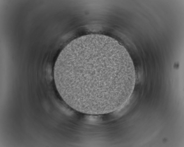 X0000101700187200808071208