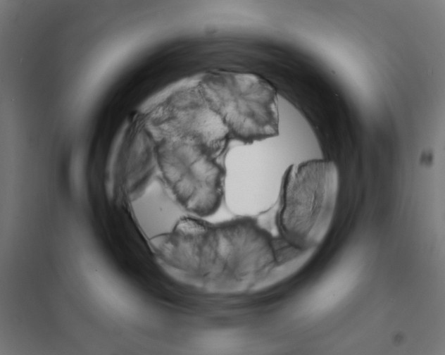 X0000101700189200808071208