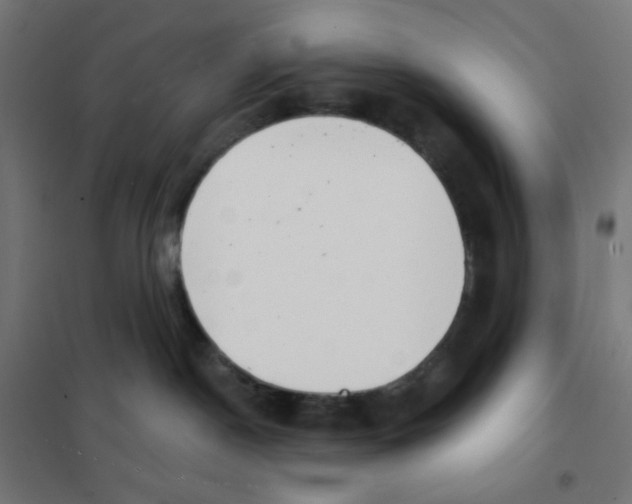 X0000101700190200808071208