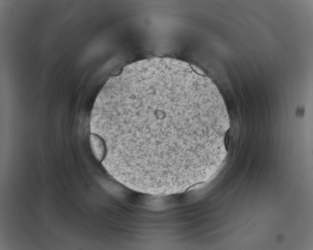 X0000101700191200808071208