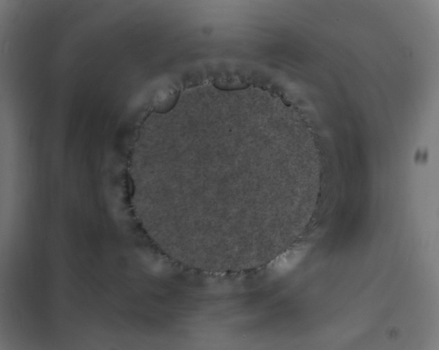 X0000101700192200808071208
