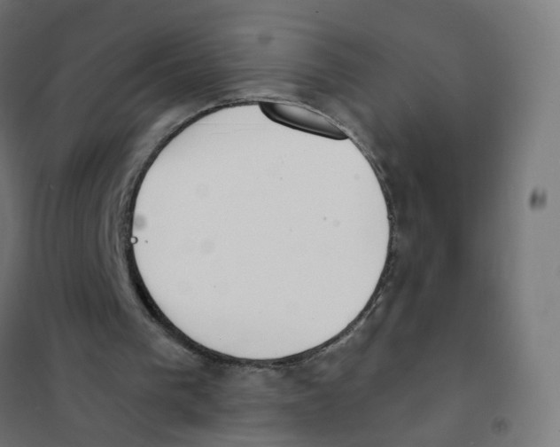 X0000101700193200808071207