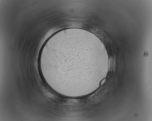 X0000101700195200808071207