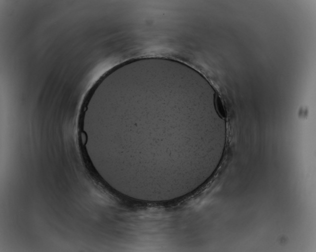 X0000101700196200808071207