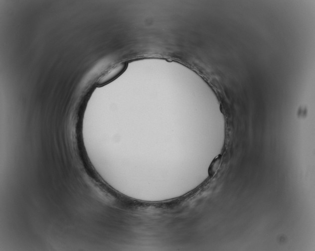 X0000101700197200808071207