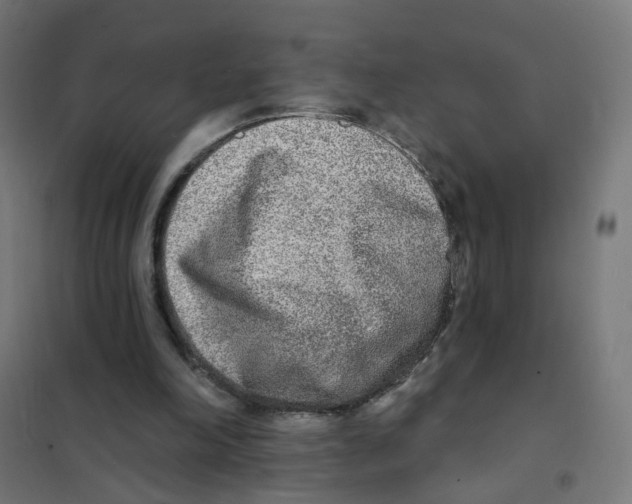 X0000101700198200808071207