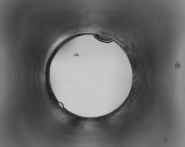 X0000101700200200808071207