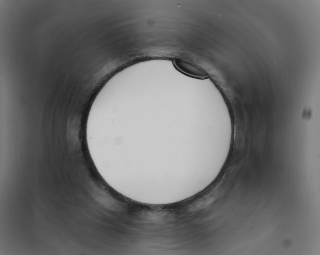 X0000101700201200808071207