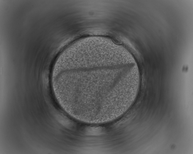 X0000101700202200808071207