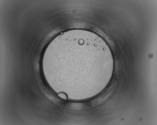 X0000101700203200808071207