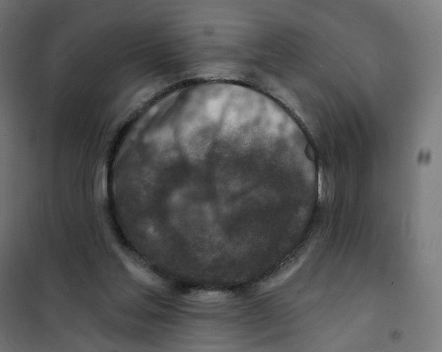 X0000101700205200808071207