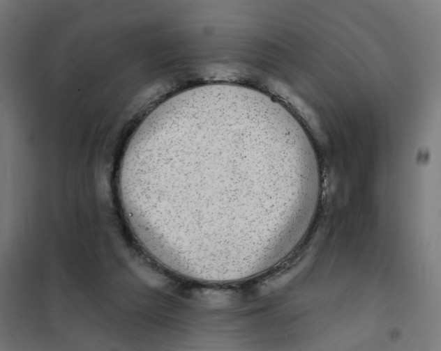 X0000101700209200808071207