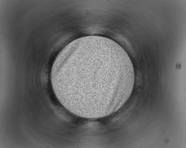X0000101700210200808071207