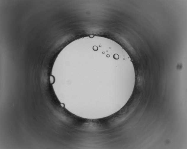X0000101700211200808071207