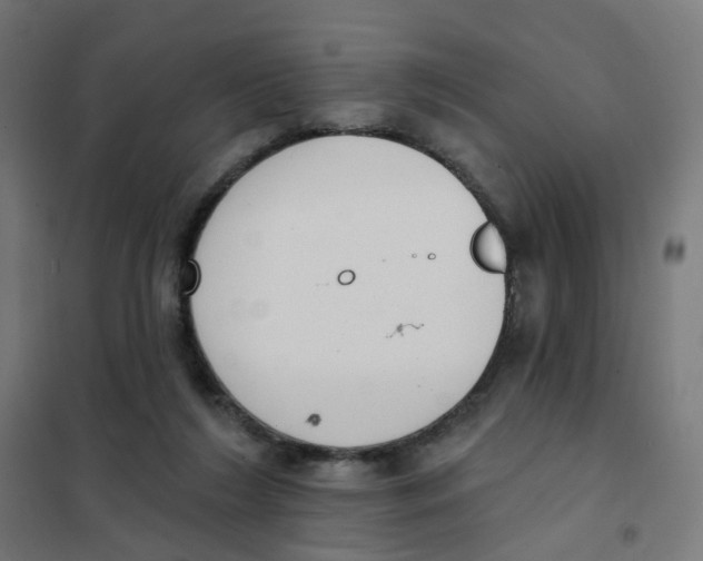 X0000101700212200808071207