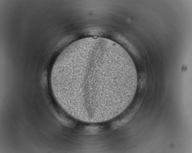 X0000101700213200808071207