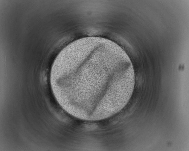 X0000101700214200808071207