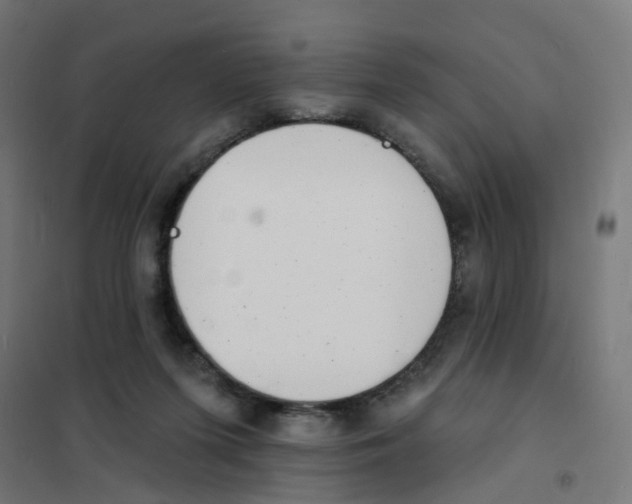 X0000101700215200808071207