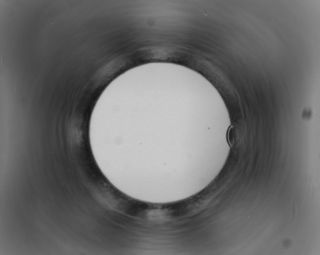 X0000101700216200808071207