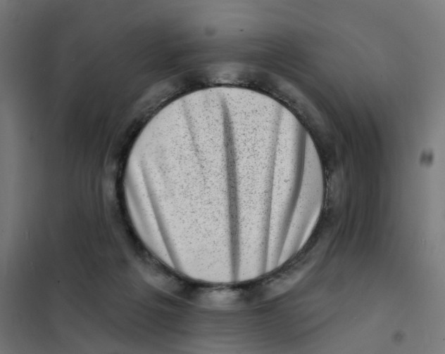 X0000101700217200808071207