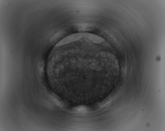 X0000101700219200808071207