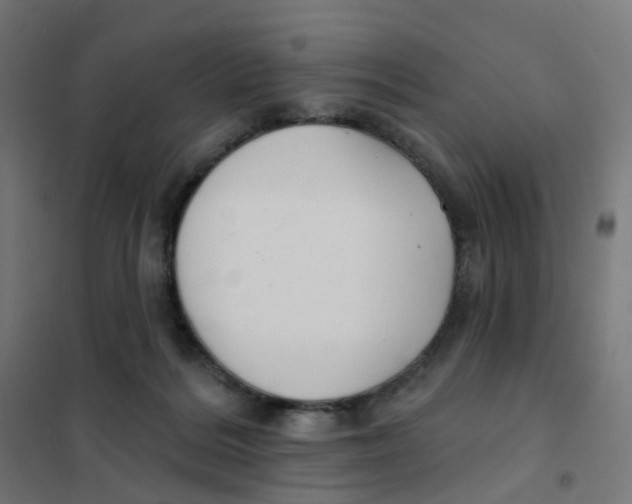 X0000101700220200808071207