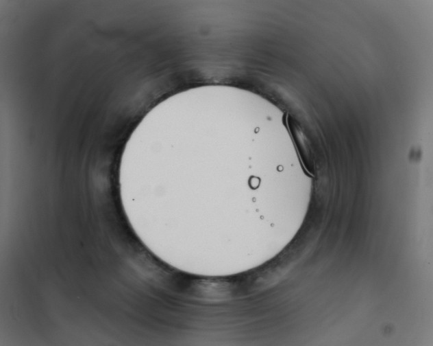 X0000101700221200808071207