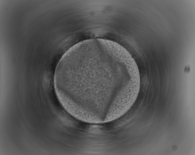 X0000101700222200808071207