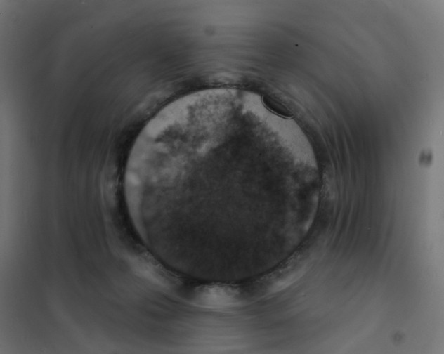 X0000101700223200808071207