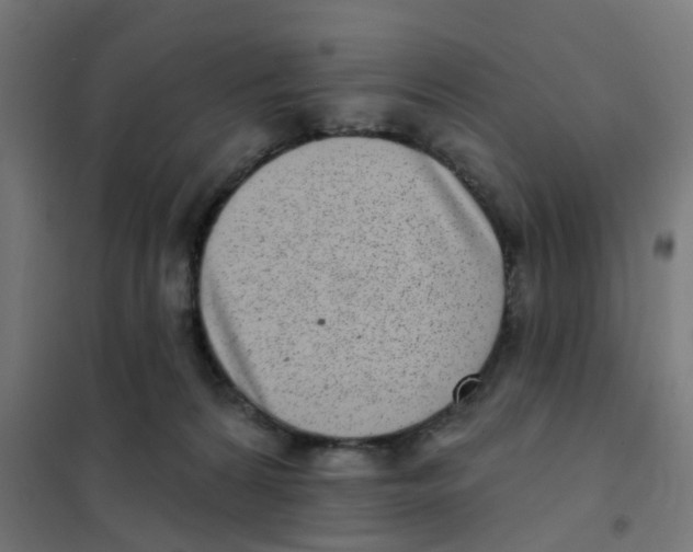 X0000101700224200808071207