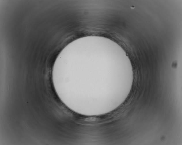 X0000101700225200808071207