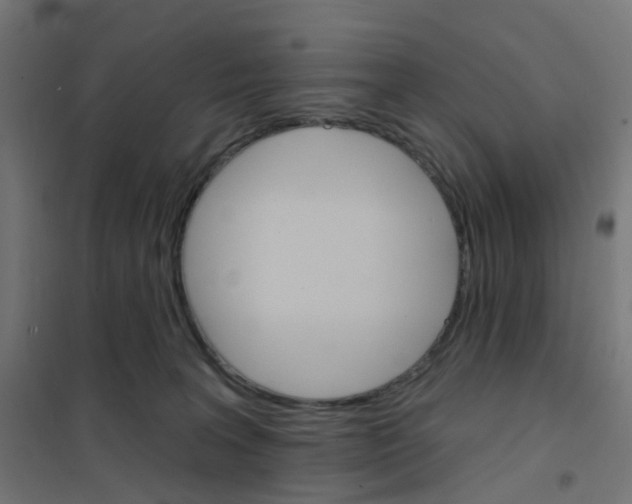 X0000101700227200808071206