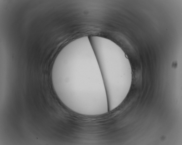 X0000101700228200808071206